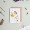 Birds & Bees | Blank Card & Wild Flower Seeds | 10.5x15cm | Wrendale Designs